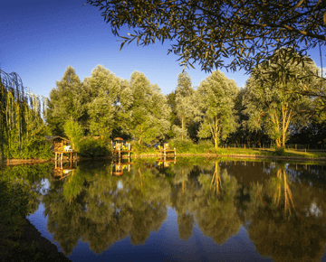 camping etang fiche