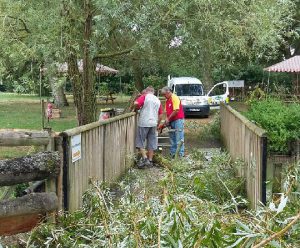 entretien espace vert angers 1